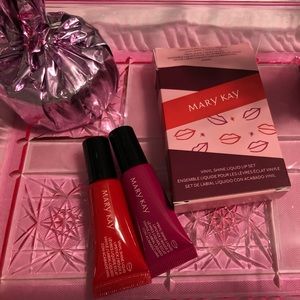 Mary Kay Vinyl Shine Liquid Lip Set ~ NEW Two Colors